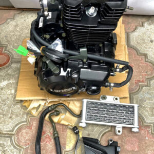 Двигун LONCIN RE250 (166FMM)+радіатор+патрубки