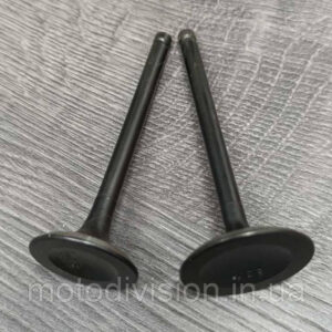 Клапана для квадроцикла ATV 500cc Speed Gear, Hisun, Storm, Linhai